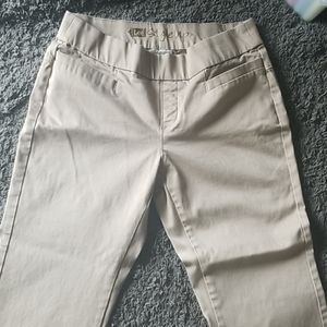 lee style up pull on pants petite